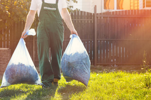 Best Junk Removal and Recycling  in Inkster, MI