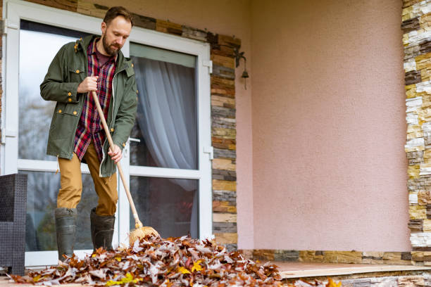 Basement Cleanout Services in Inkster, MI