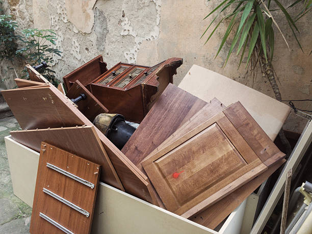 Best Construction Debris Removal  in Inkster, MI